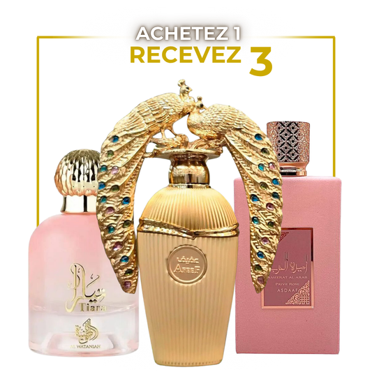 Pack Trio Parfums Arabes pour Femme – Tiara Rose | Afeef Gold | Pink Musk