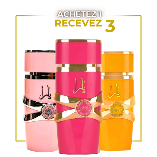 Pack Trio Parfums Arabes pour Femme – Y. Classic | Y. Moi | Y. Tous