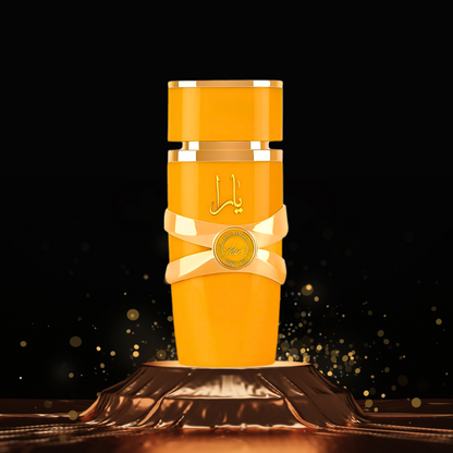 Pack Trio Parfums Arabes pour Femme – Y. Classic | Y. Moi | Y. Tous