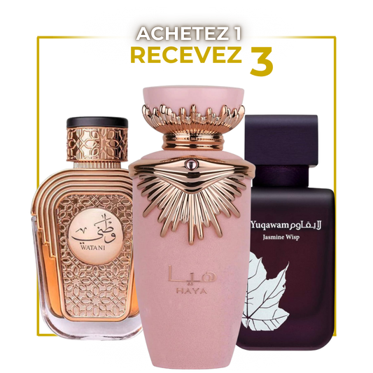 Pack Trio Parfums Arabes pour Femme – Watani Gold | Haya Rose | Jasmine Noir